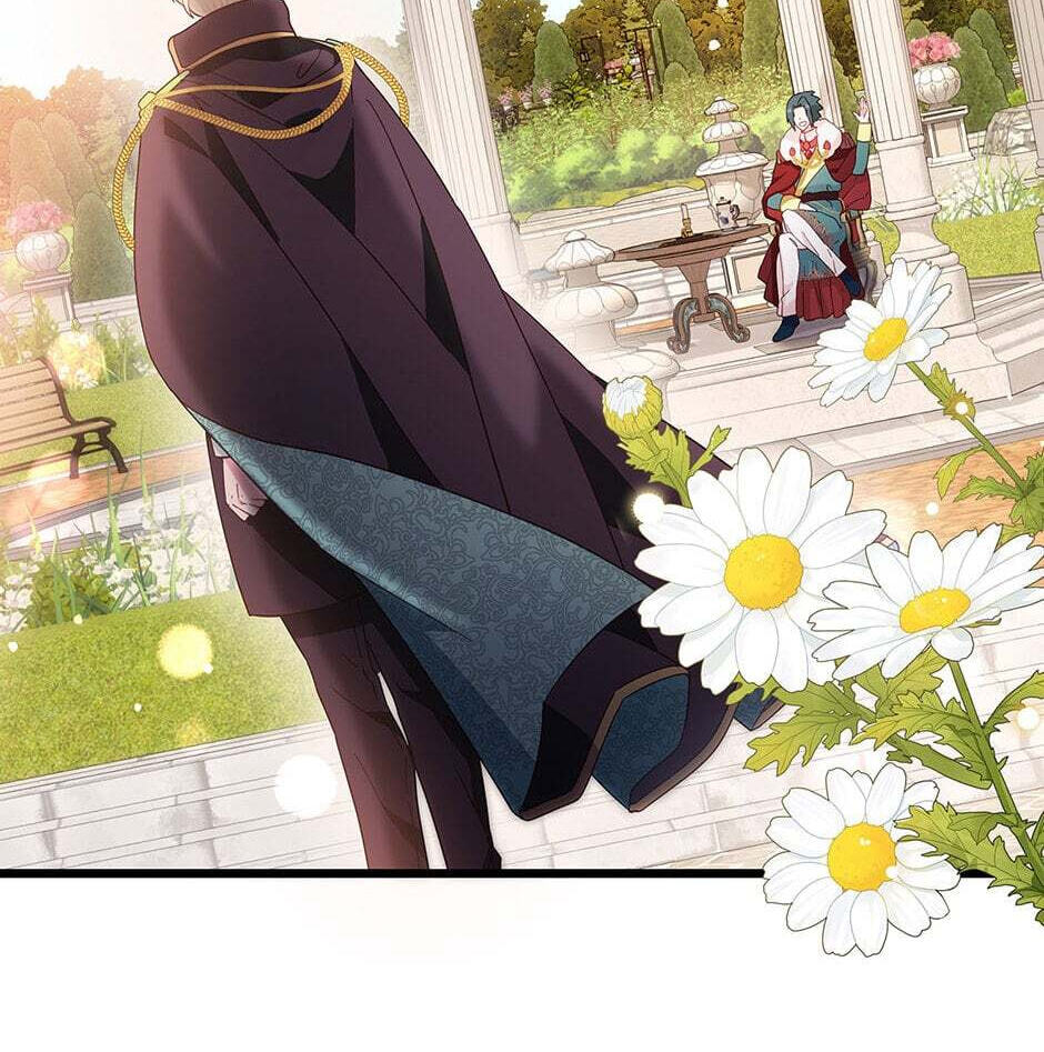 The Events of Romeo