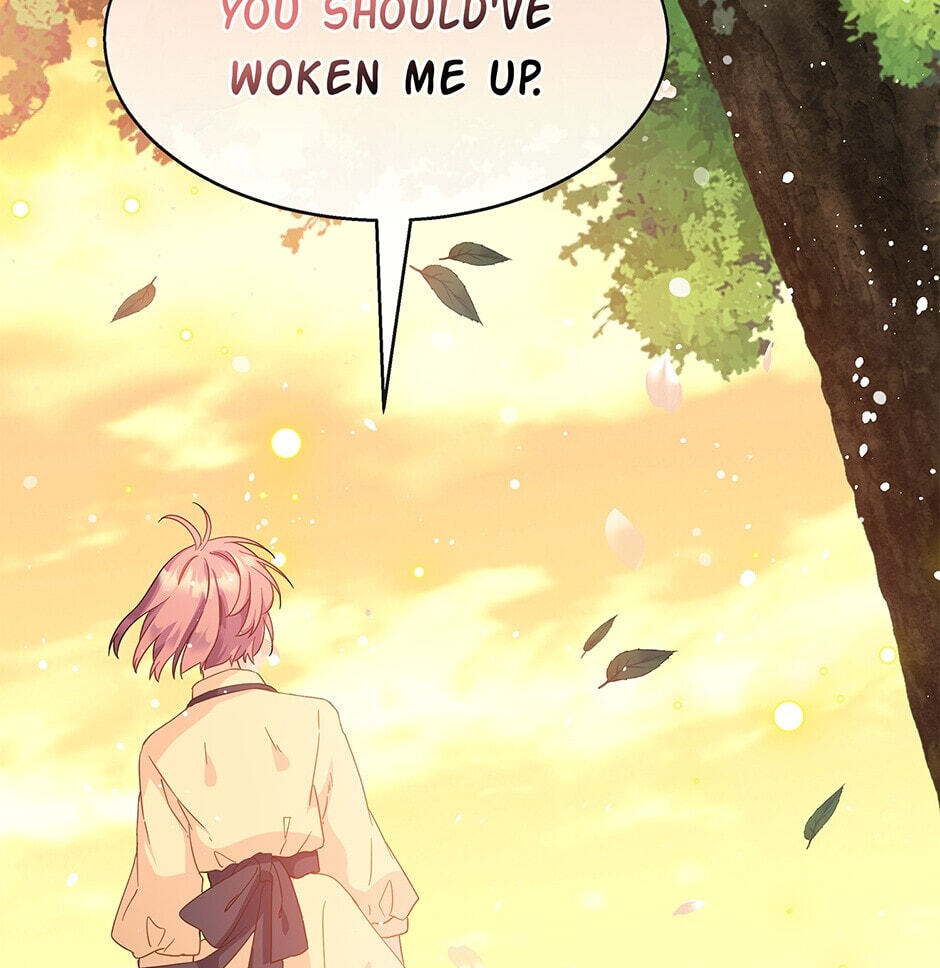 The Events of Romeo