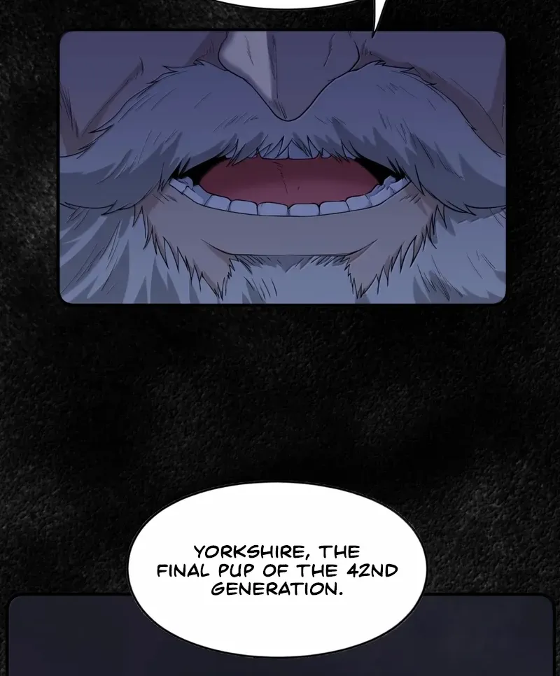 The Evil Alchemist Can