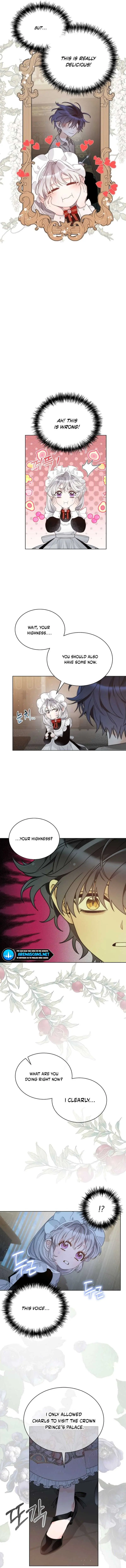 The Evil Empress Loves Me So Much Chapter 26 page 8 - 