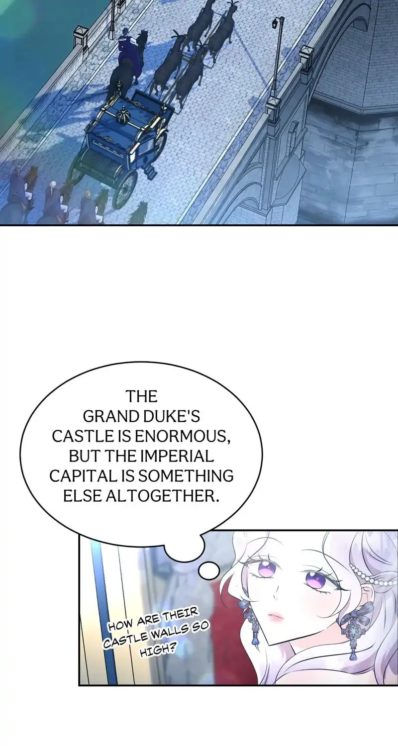 The Evil Grand Duchess Has a Secret Life Chapter 19 page 3 - 
