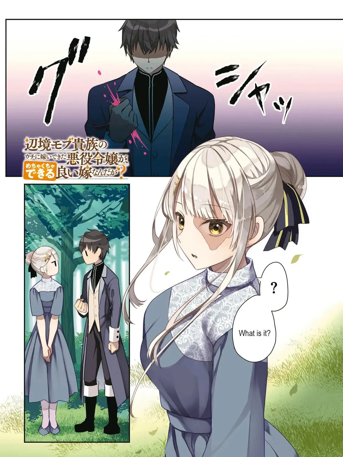 The Evil Noblewoman Turned Out to Be the Perfect Wife Chapter 1 page 7 - 