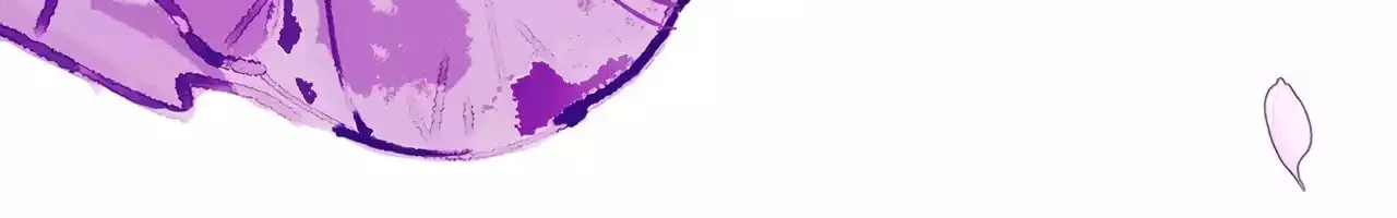 The Evil Ring Chapter 25 page 155 - 