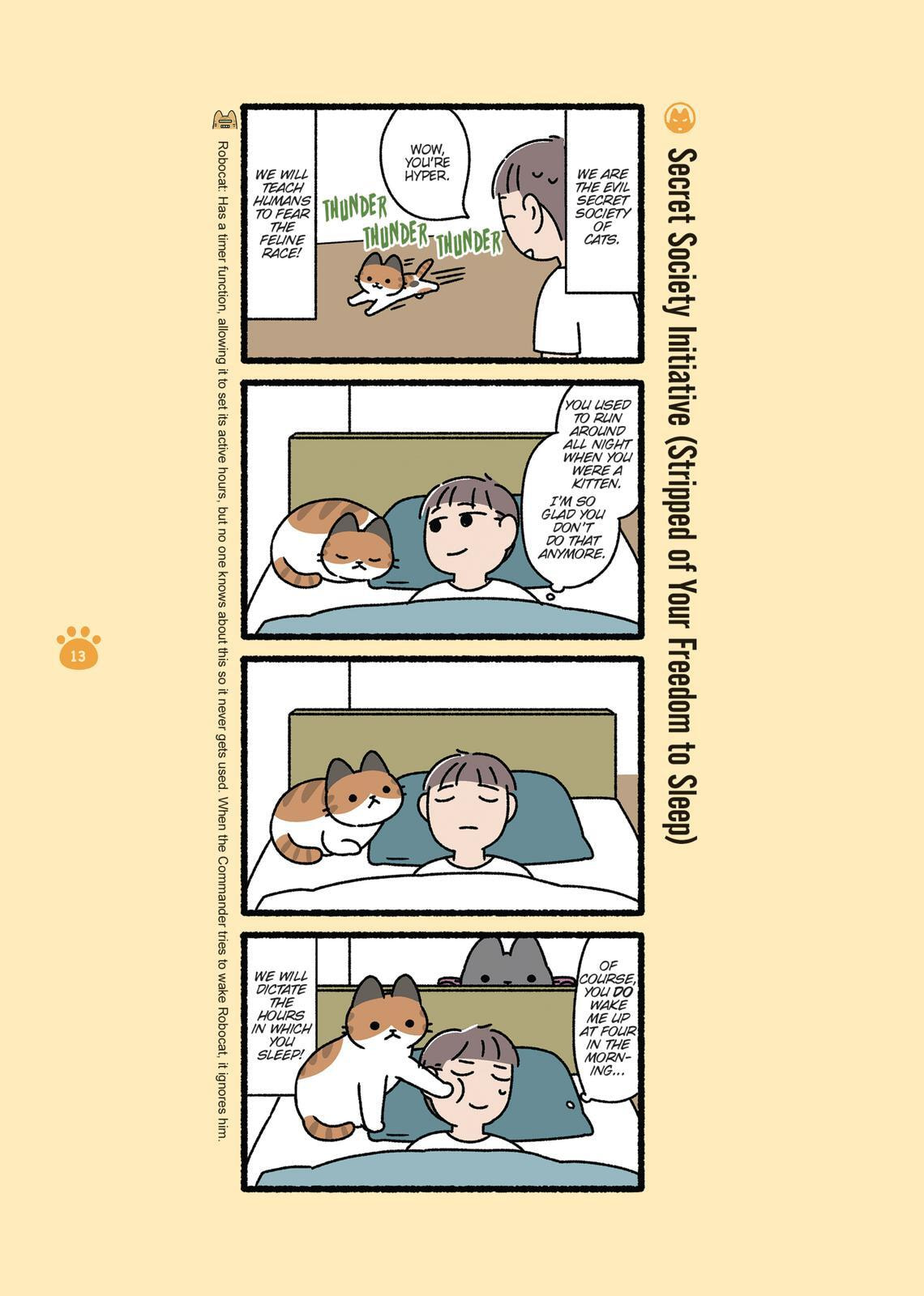 The Evil Secret Society of Cats Chapter 0 page 13 - 