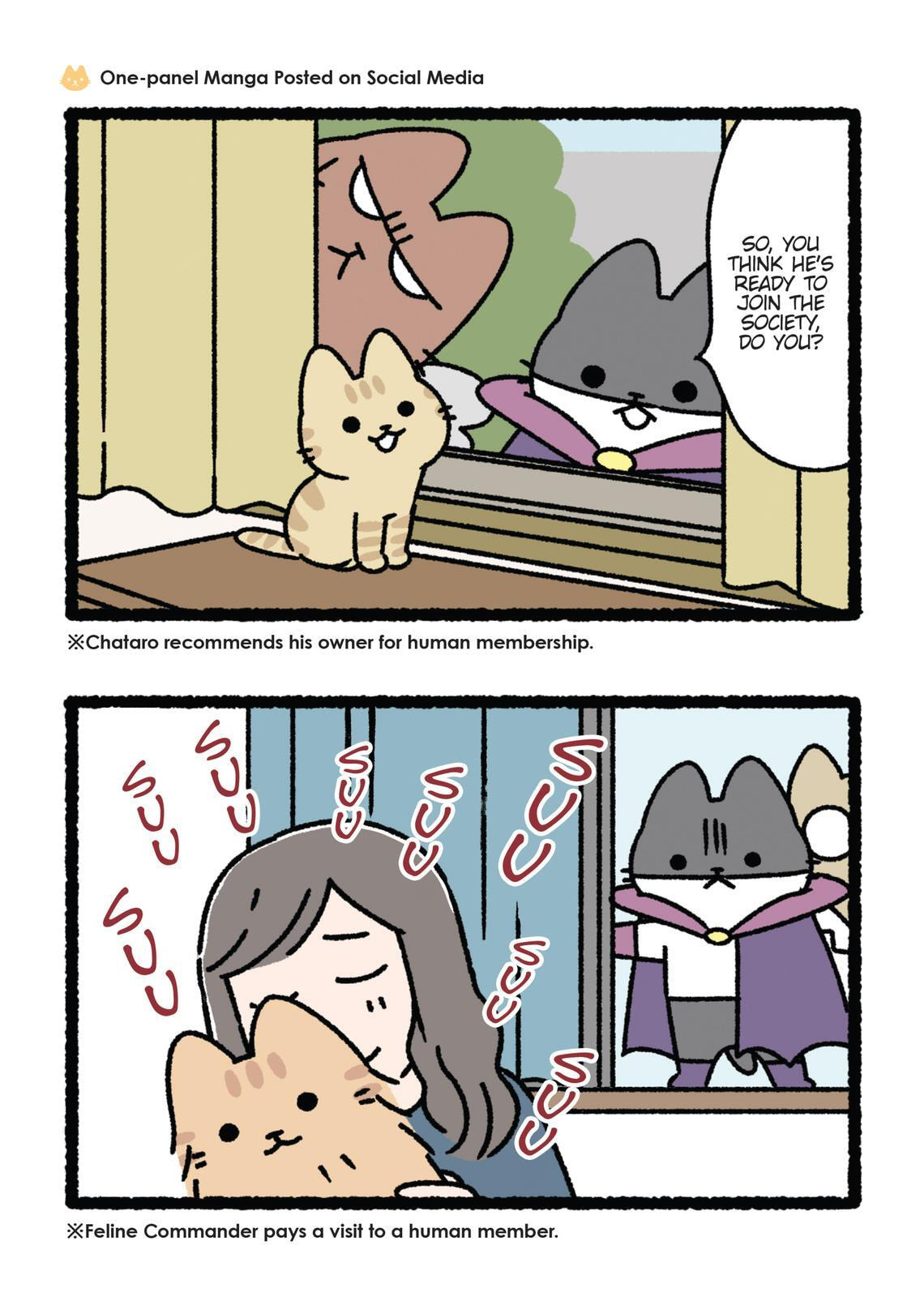 The Evil Secret Society of Cats Chapter 0 page 124 - 