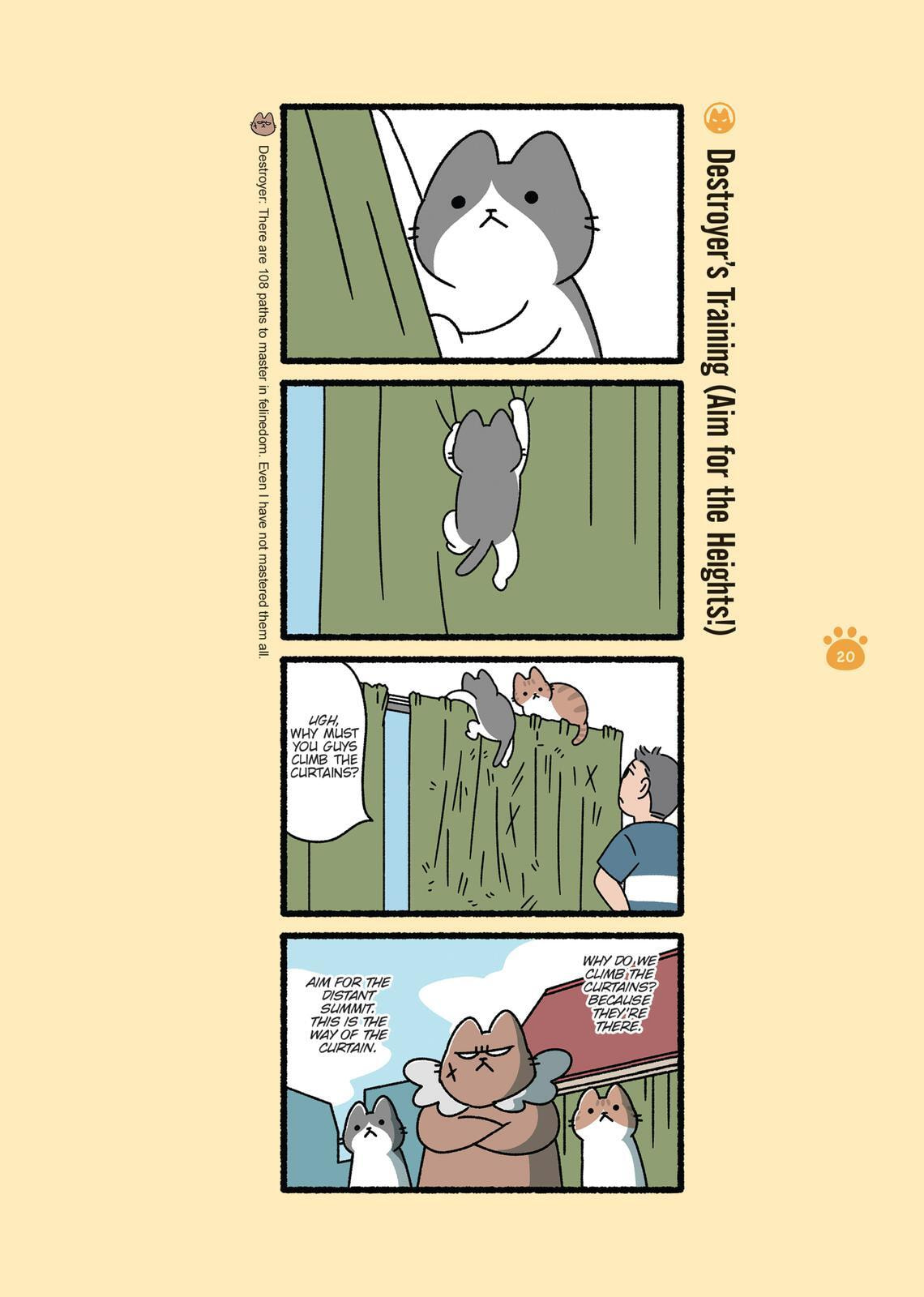 The Evil Secret Society of Cats Chapter 0 page 20 - 