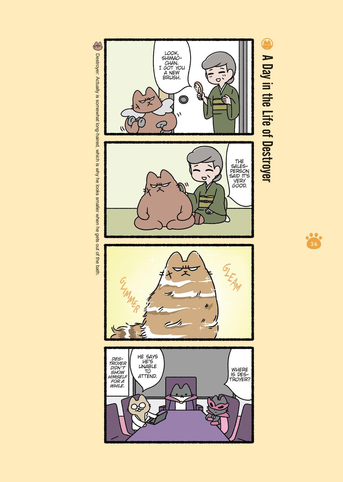 The Evil Secret Society of Cats Chapter 0 page 36 - 