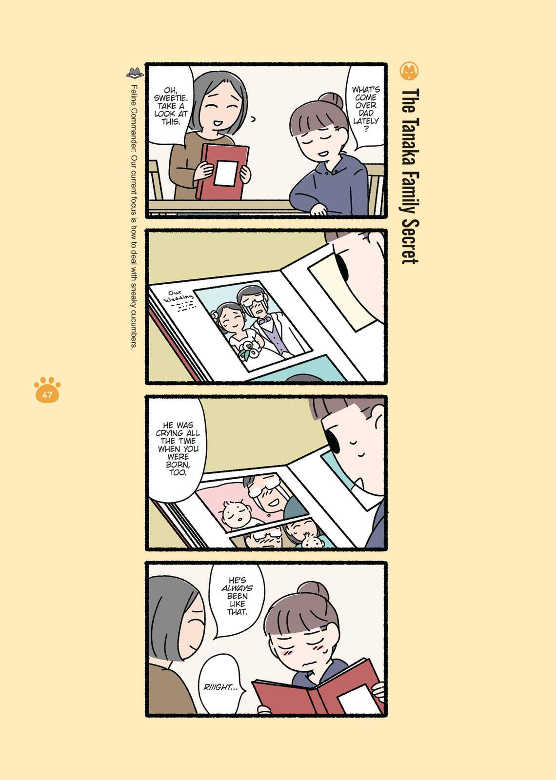 The Evil Secret Society of Cats Chapter 0 page 47 - 