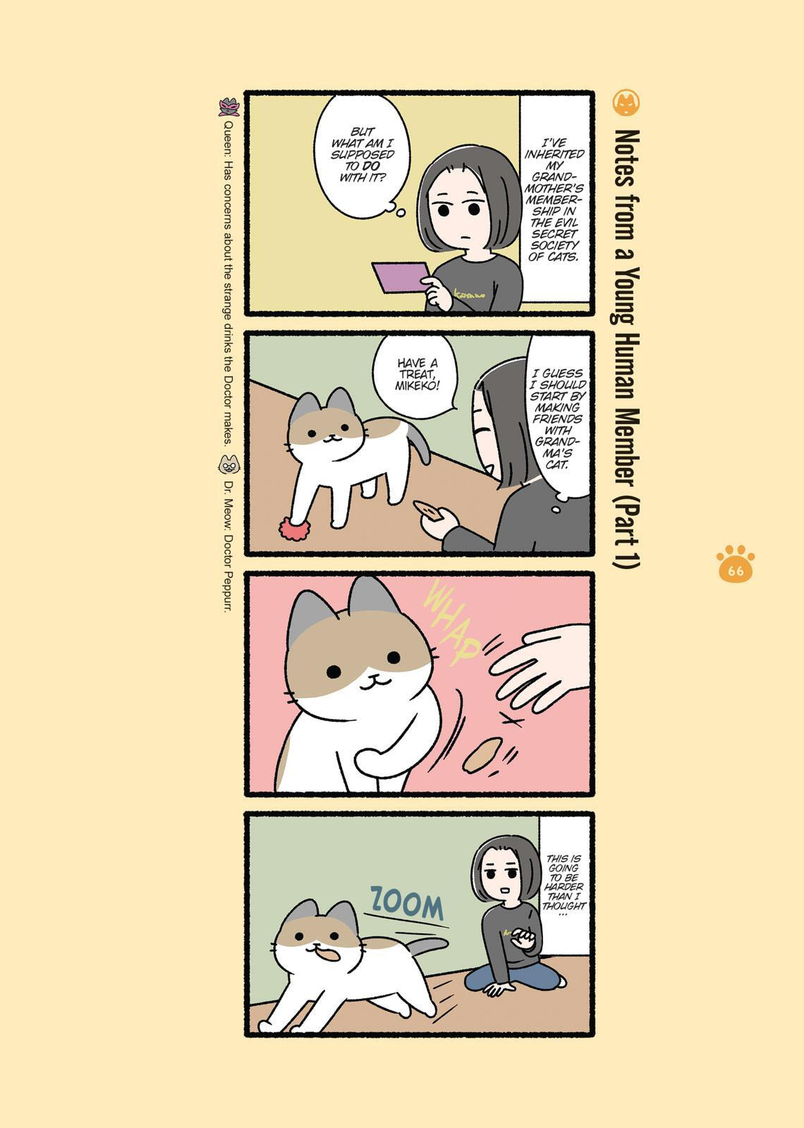 The Evil Secret Society of Cats Chapter 0 page 66 - 