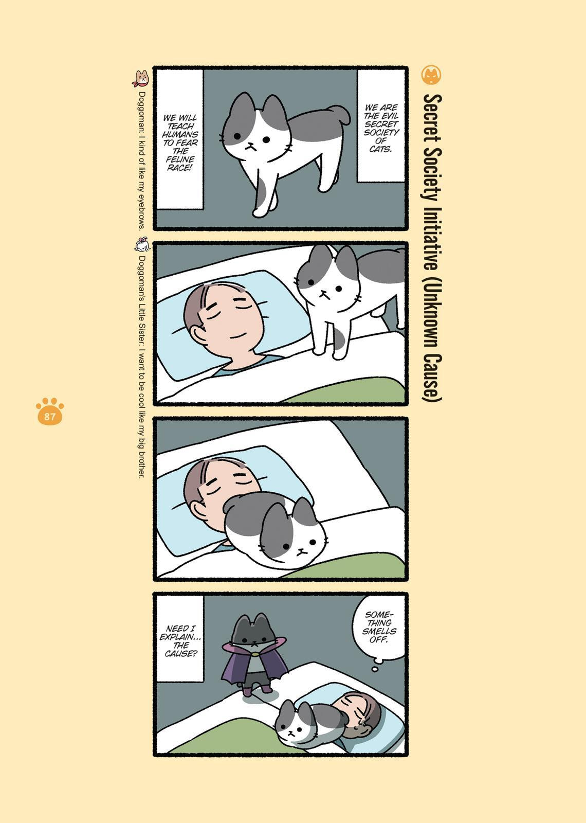 The Evil Secret Society of Cats Chapter 0 page 87 - 