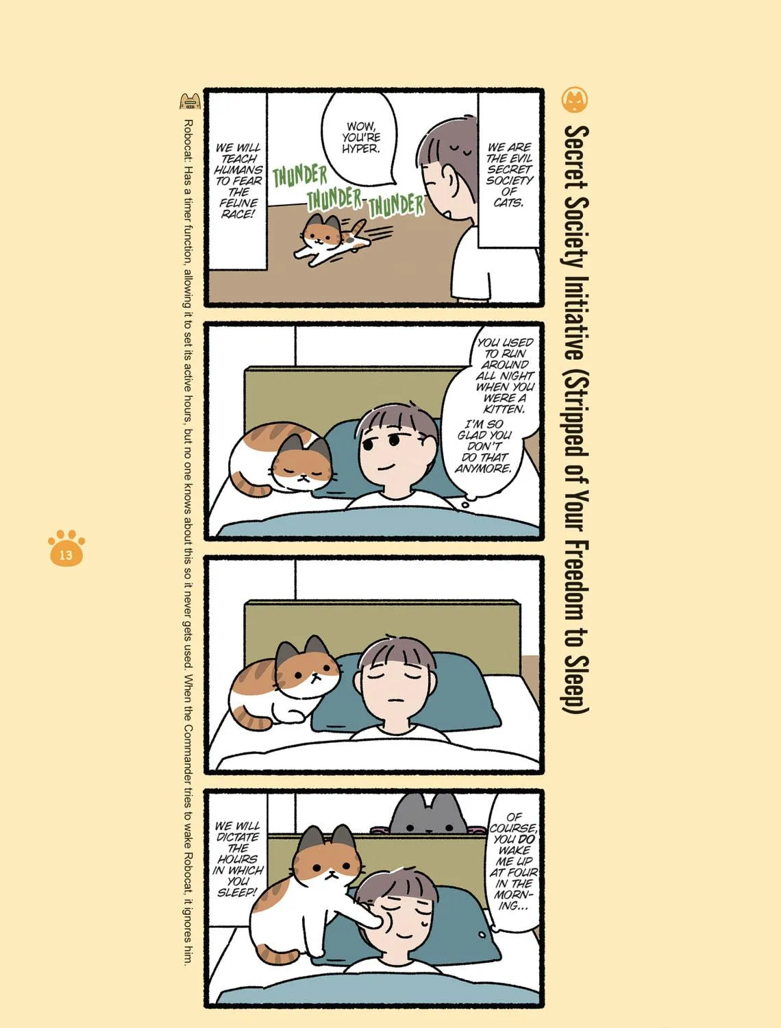 The Evil Secret Society of Cats Chapter 11 page 17 - 