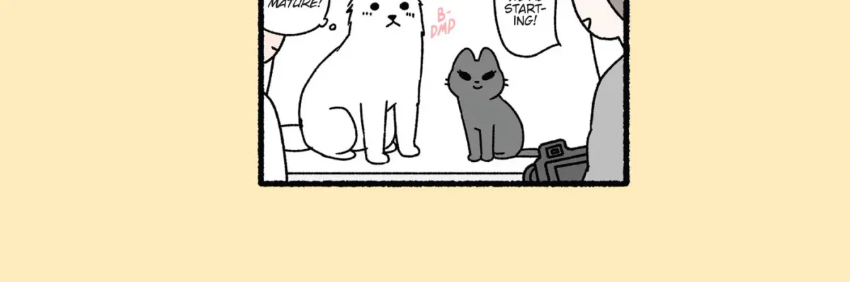The Evil Secret Society of Cats Chapter 26 page 4 - 