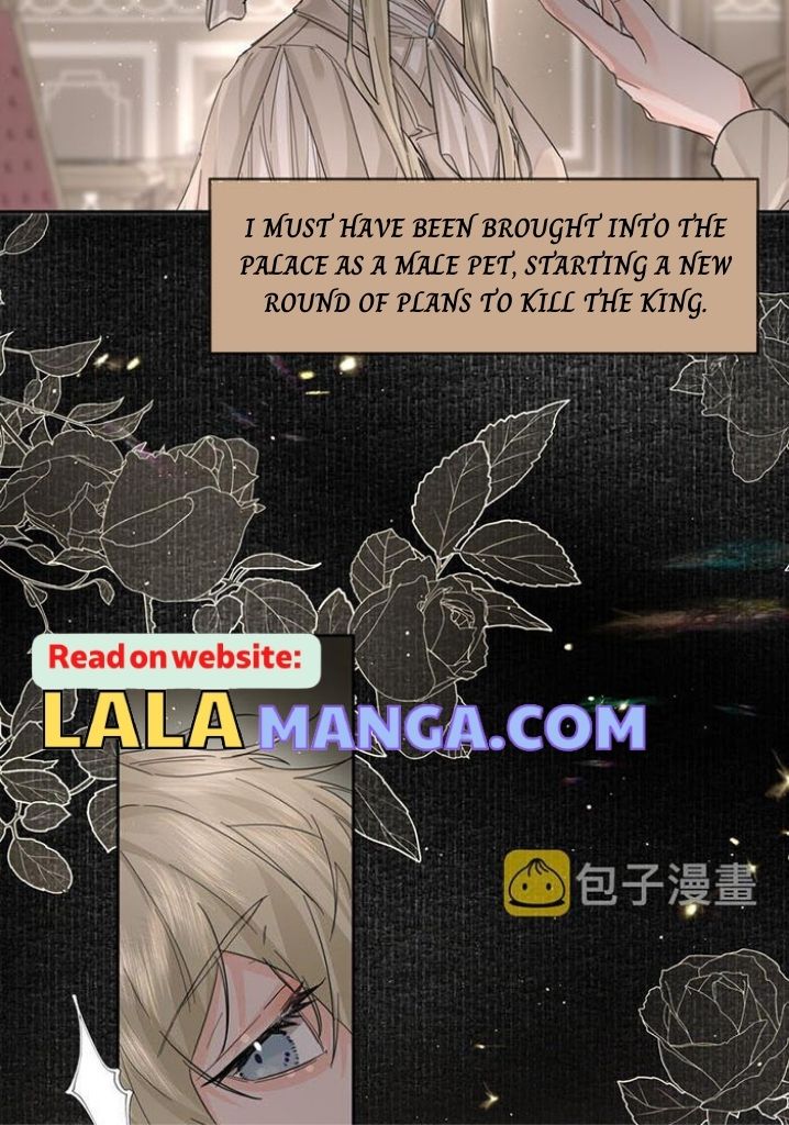 The Ex Is My King Chapter 12 page 7 - 