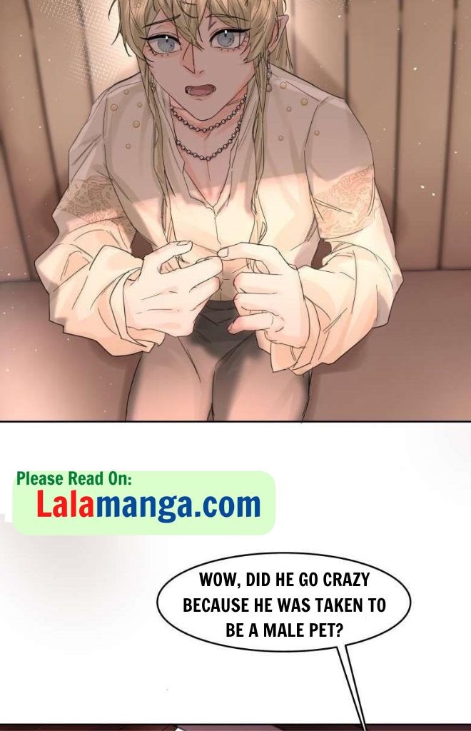 The Ex Is My King Chapter 13 page 43 - 