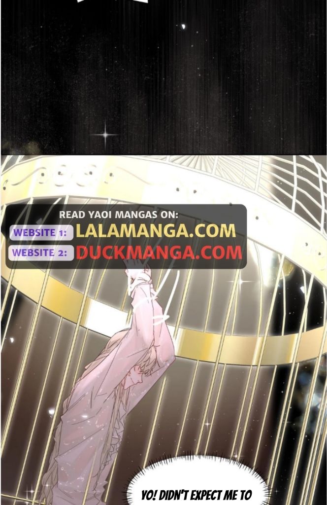 The Ex Is My King Chapter 23 page 27 - 