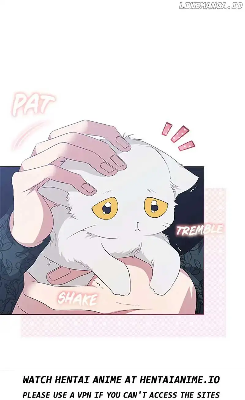 The Exhausting Reality of Novel Transmigration Chapter 58 page 16 - 