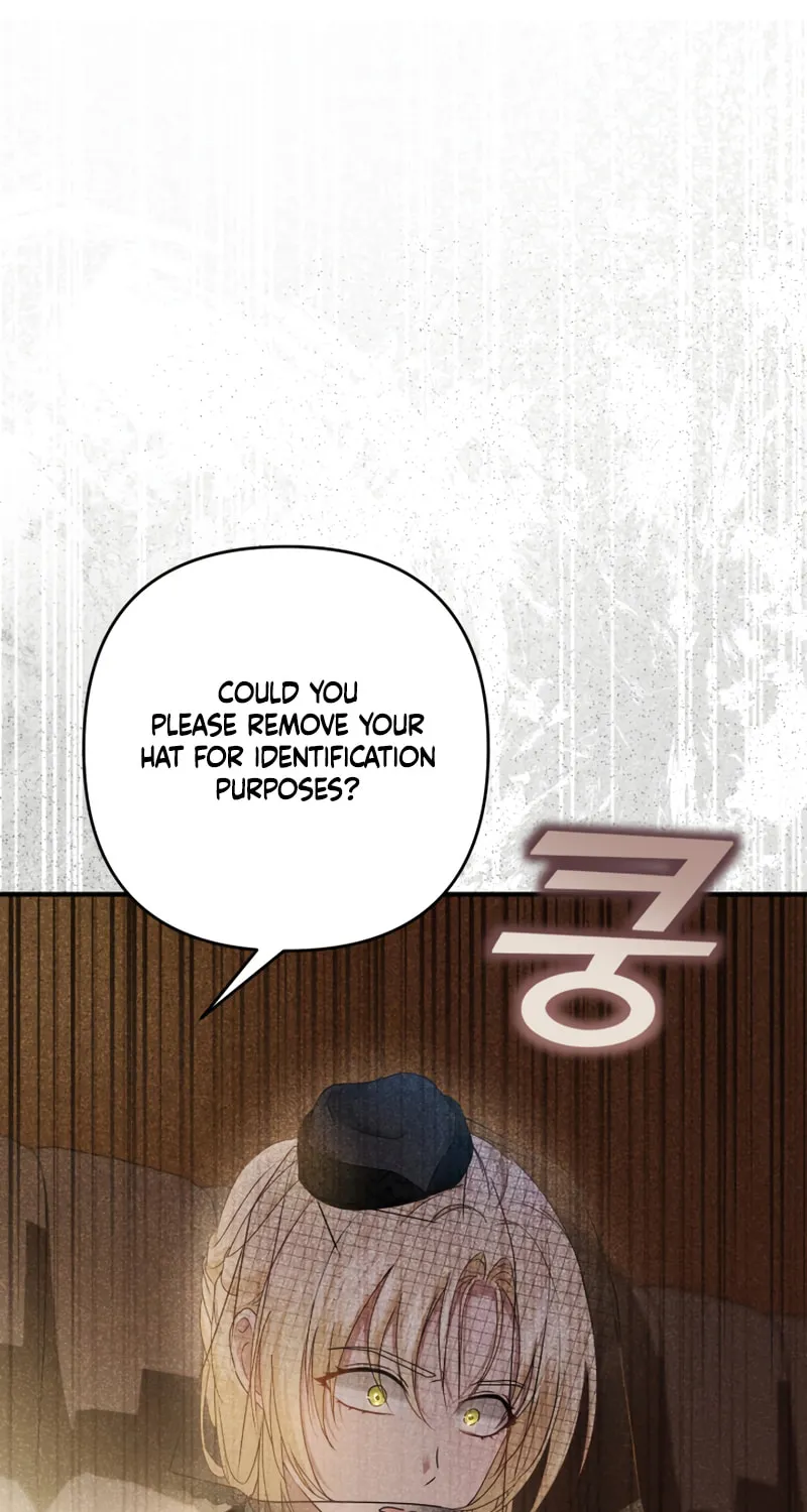The Extra Guardian Missed the Right Time to Leave Chapter 10 page 19 - 