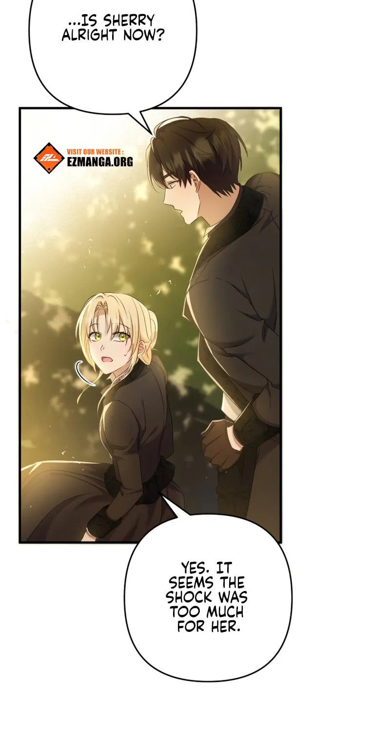 The Extra Guardian Missed the Right Time to Leave Chapter 11 page 16 - 