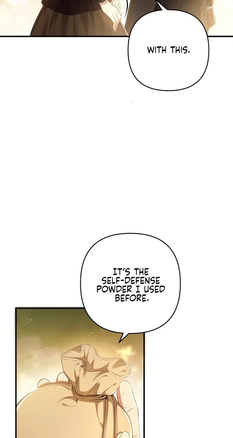 The Extra Guardian Missed the Right Time to Leave Chapter 11 page 26 - 