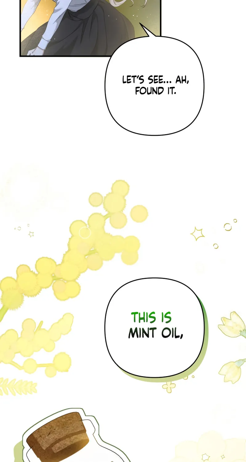 The Extra Guardian Missed the Right Time to Leave Chapter 12 page 13 - 