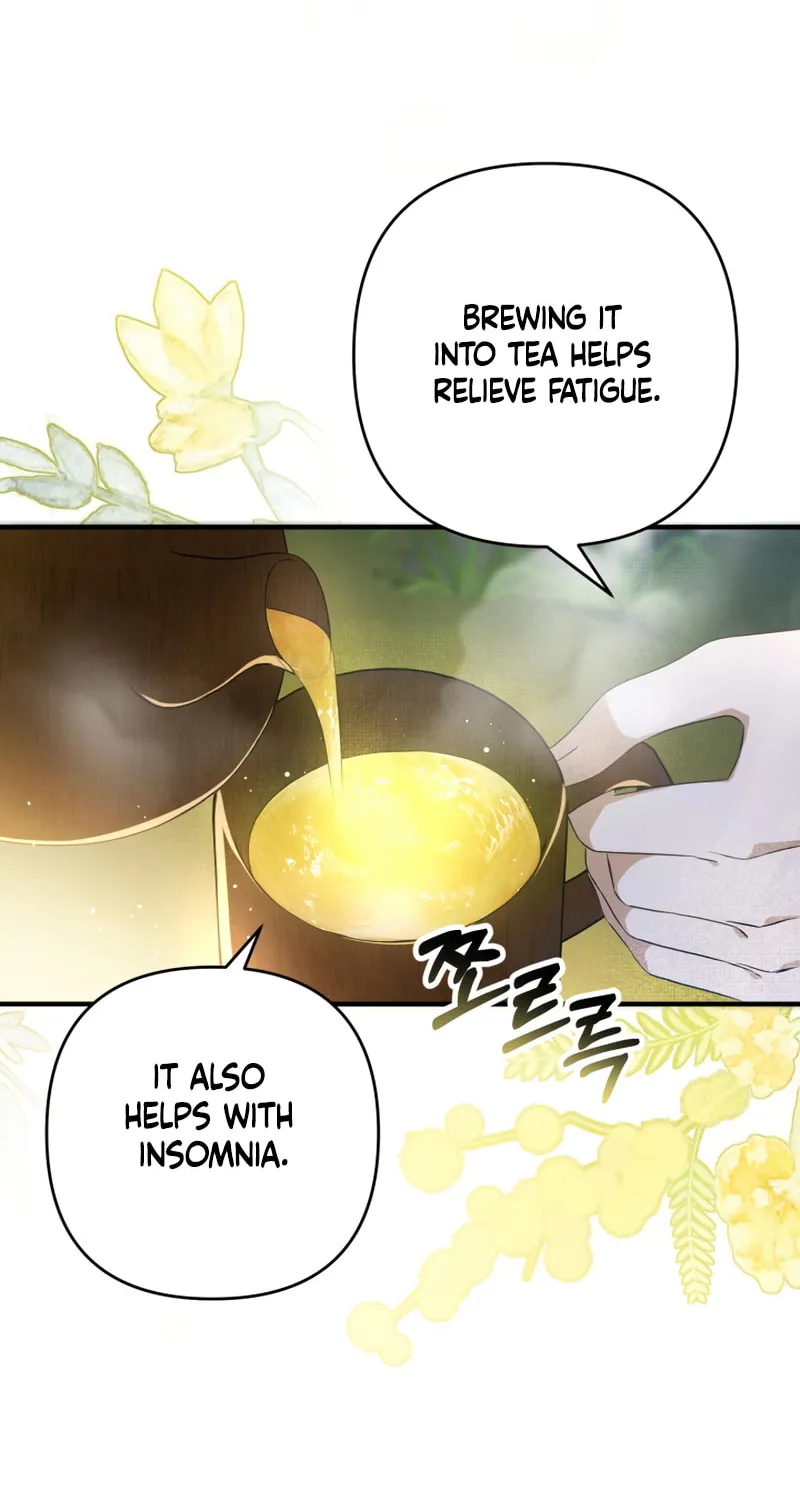 The Extra Guardian Missed the Right Time to Leave Chapter 12 page 15 - 
