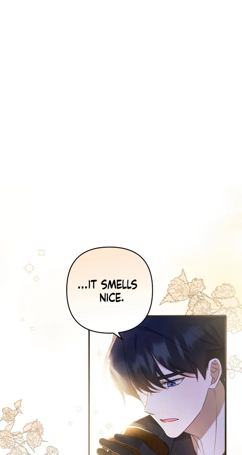 The Extra Guardian Missed the Right Time to Leave Chapter 12 page 17 - 