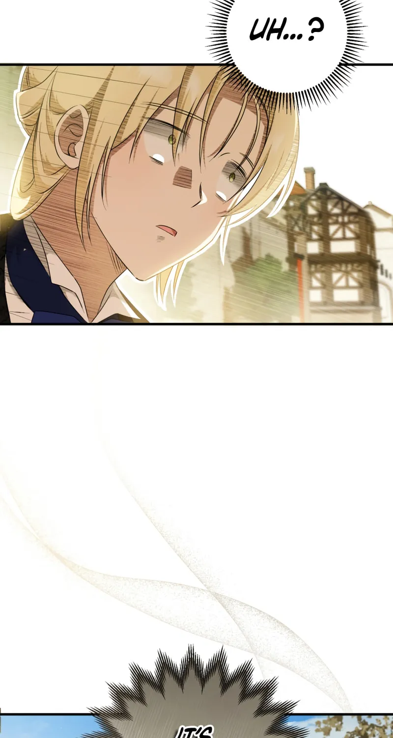 The Extra Guardian Missed the Right Time to Leave Chapter 12 page 93 - 