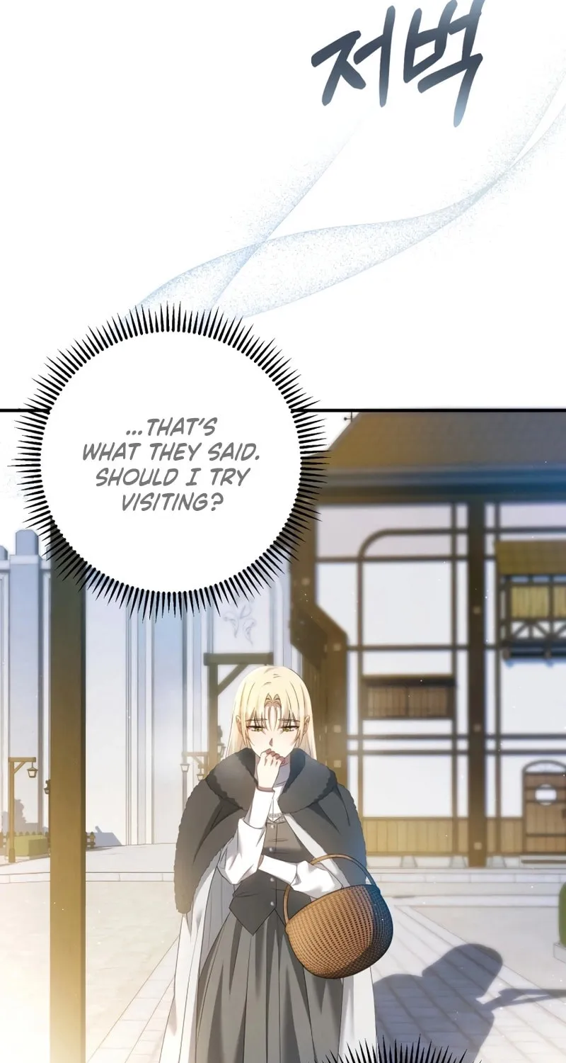 The Extra Guardian Missed the Right Time to Leave Chapter 15 page 67 - 