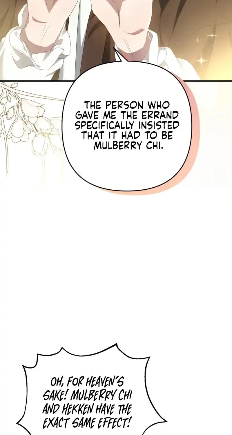 The Extra Guardian Missed the Right Time to Leave Chapter 16 page 15 - 