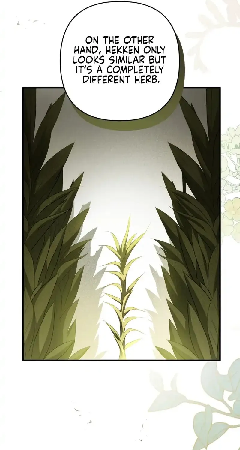 The Extra Guardian Missed the Right Time to Leave Chapter 16 page 35 - 