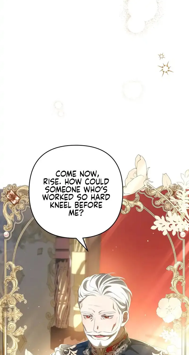 The Extra Guardian Missed the Right Time to Leave Chapter 17 page 14 - 