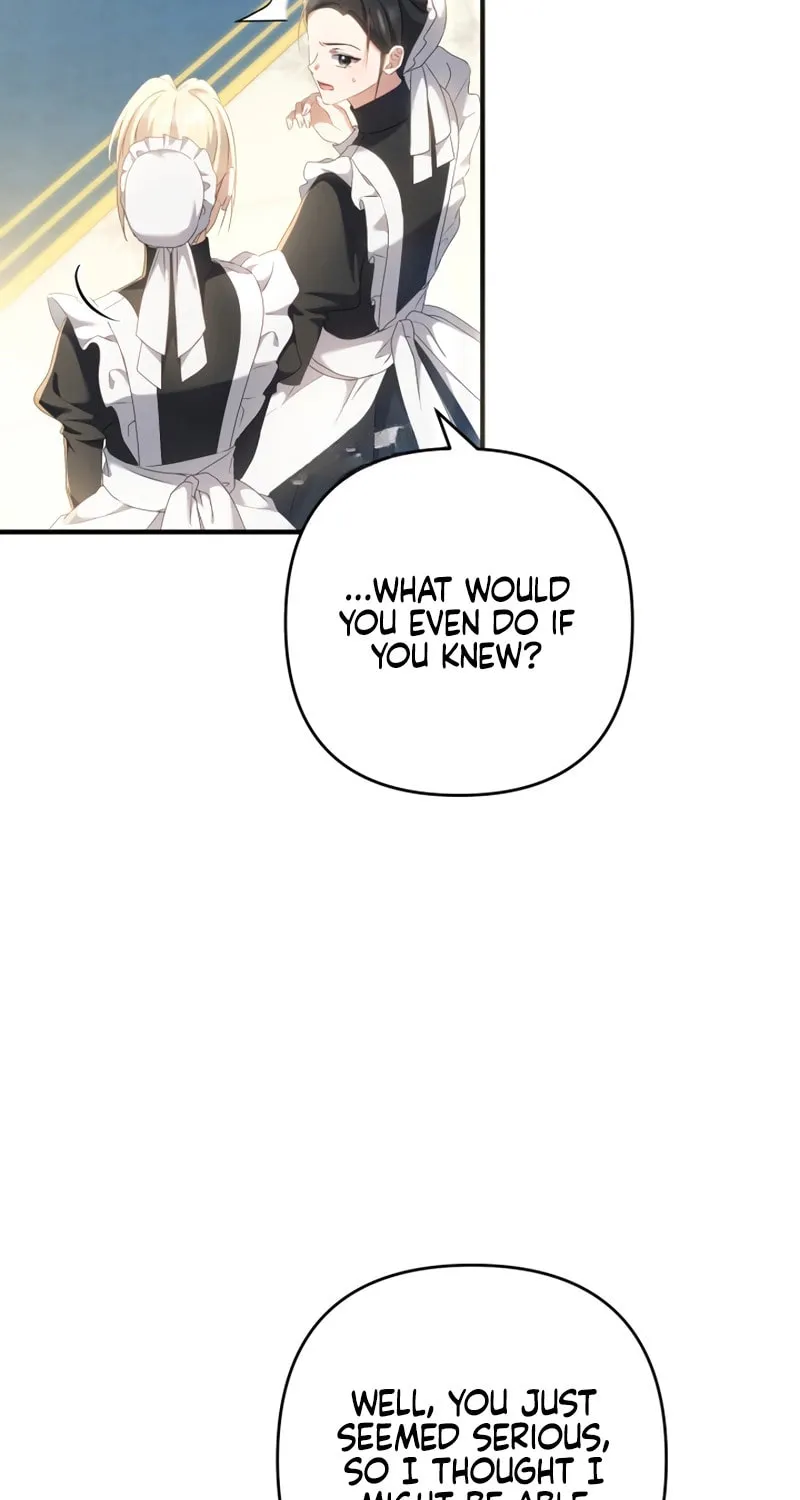 The Extra Guardian Missed the Right Time to Leave Chapter 19 page 3 - 