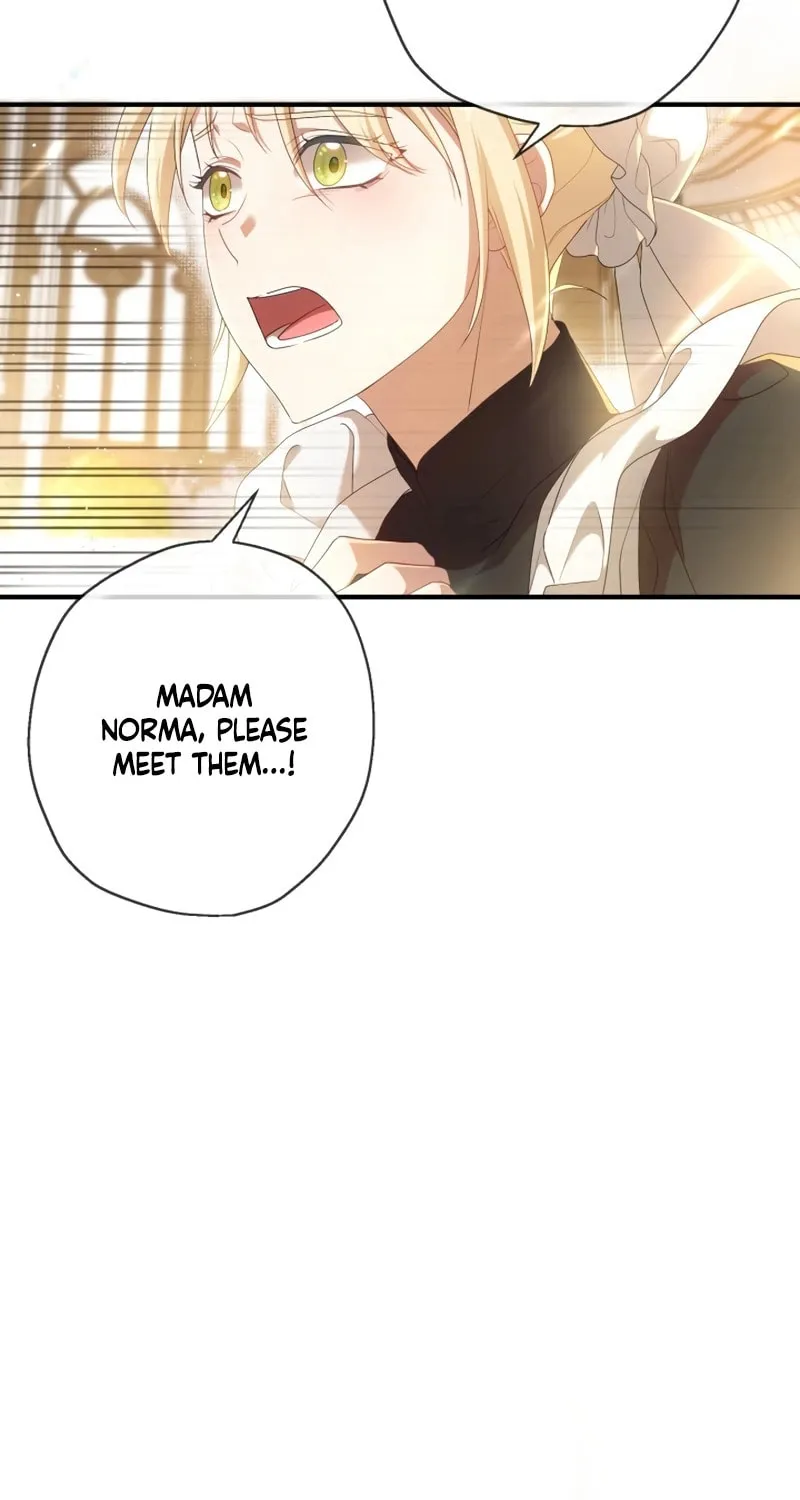 The Extra Guardian Missed the Right Time to Leave Chapter 20 page 13 - 