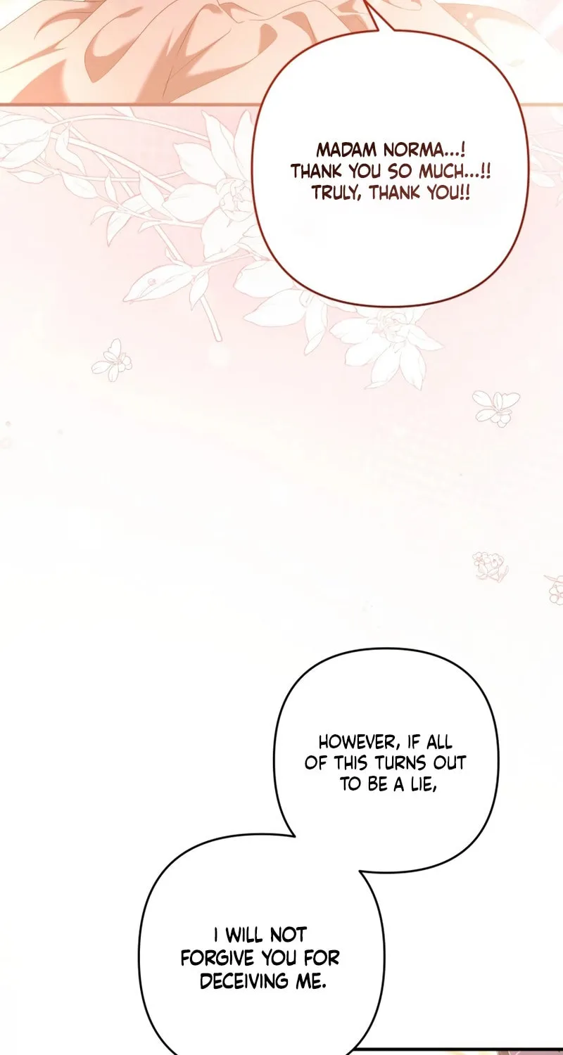 The Extra Guardian Missed the Right Time to Leave Chapter 20 page 18 - 