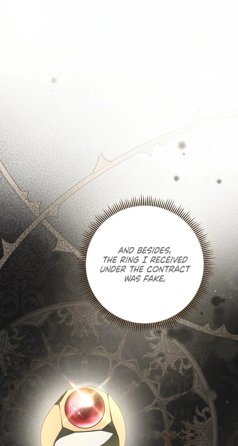 The Extra Guardian Missed the Right Time to Leave Chapter 24 page 14 - 