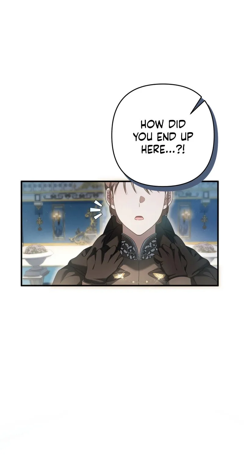 The Extra Guardian Missed the Right Time to Leave Chapter 30 page 90 - 