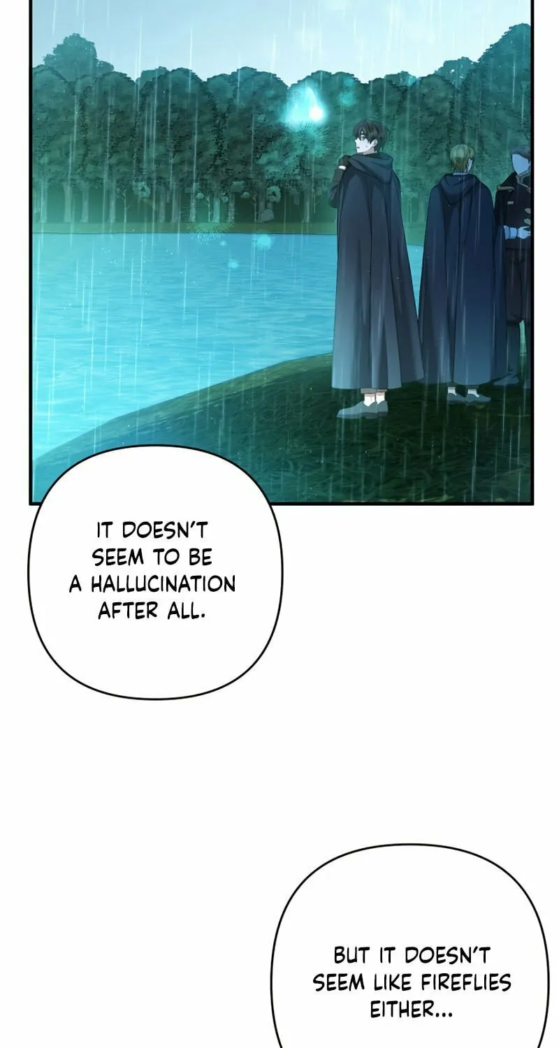 The Extra Guardian Missed the Right Time to Leave Chapter 35 page 41 - 