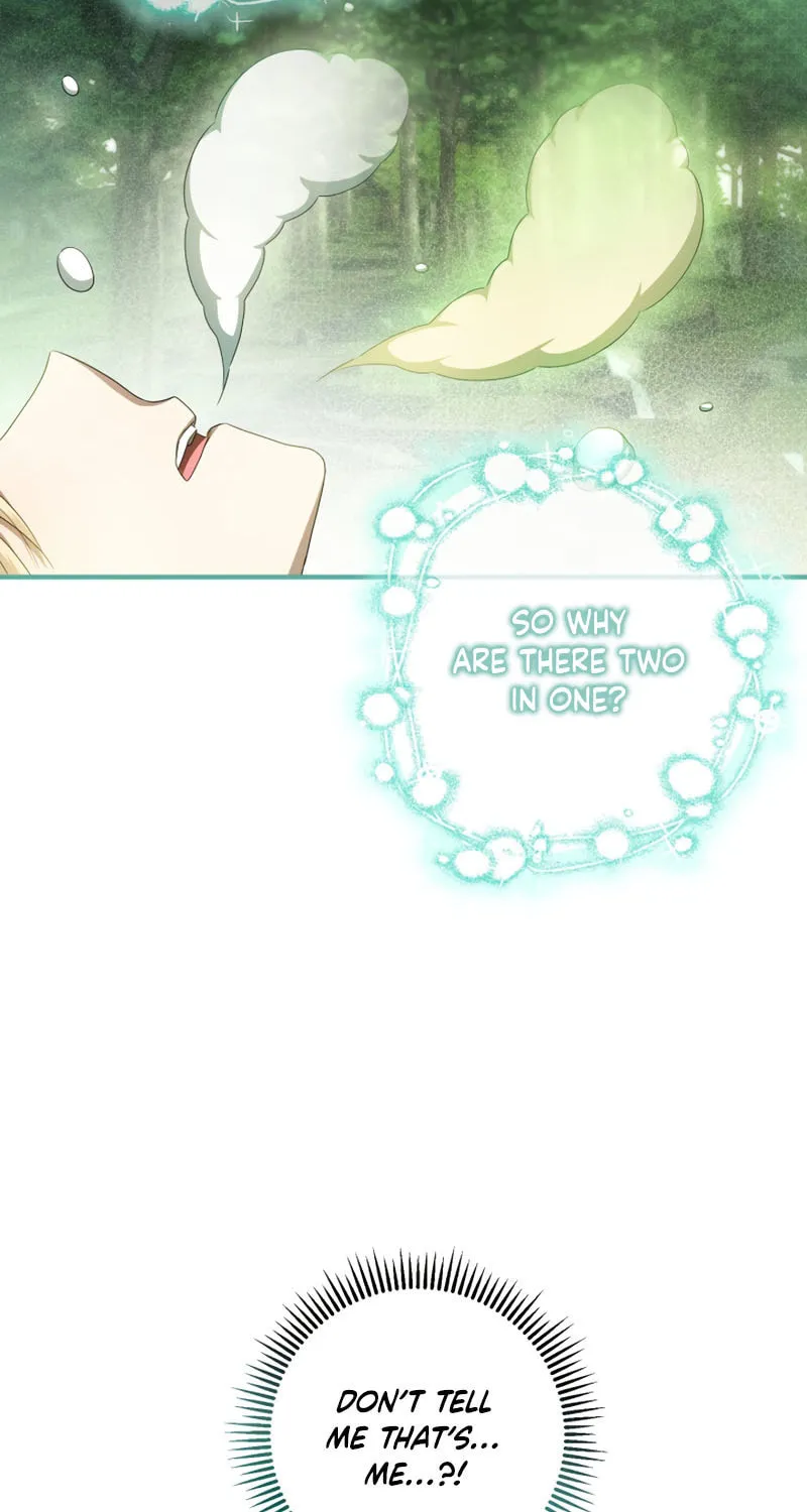 The Extra Guardian Missed the Right Time to Leave Chapter 35 page 66 - 