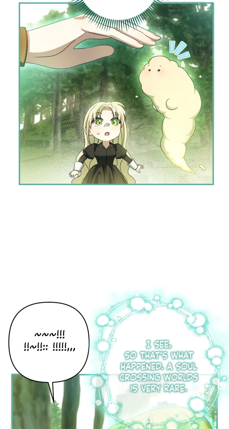 The Extra Guardian Missed the Right Time to Leave Chapter 35 page 67 - 