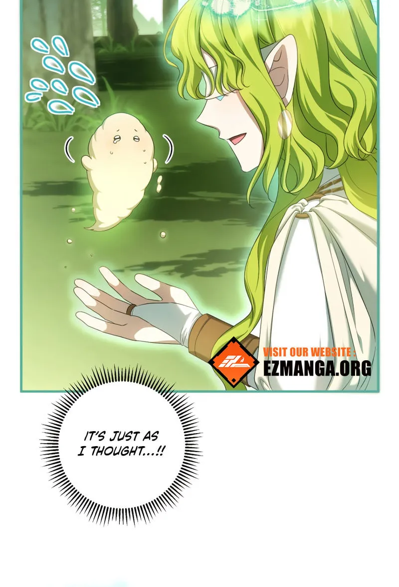 The Extra Guardian Missed the Right Time to Leave Chapter 35 page 68 - 