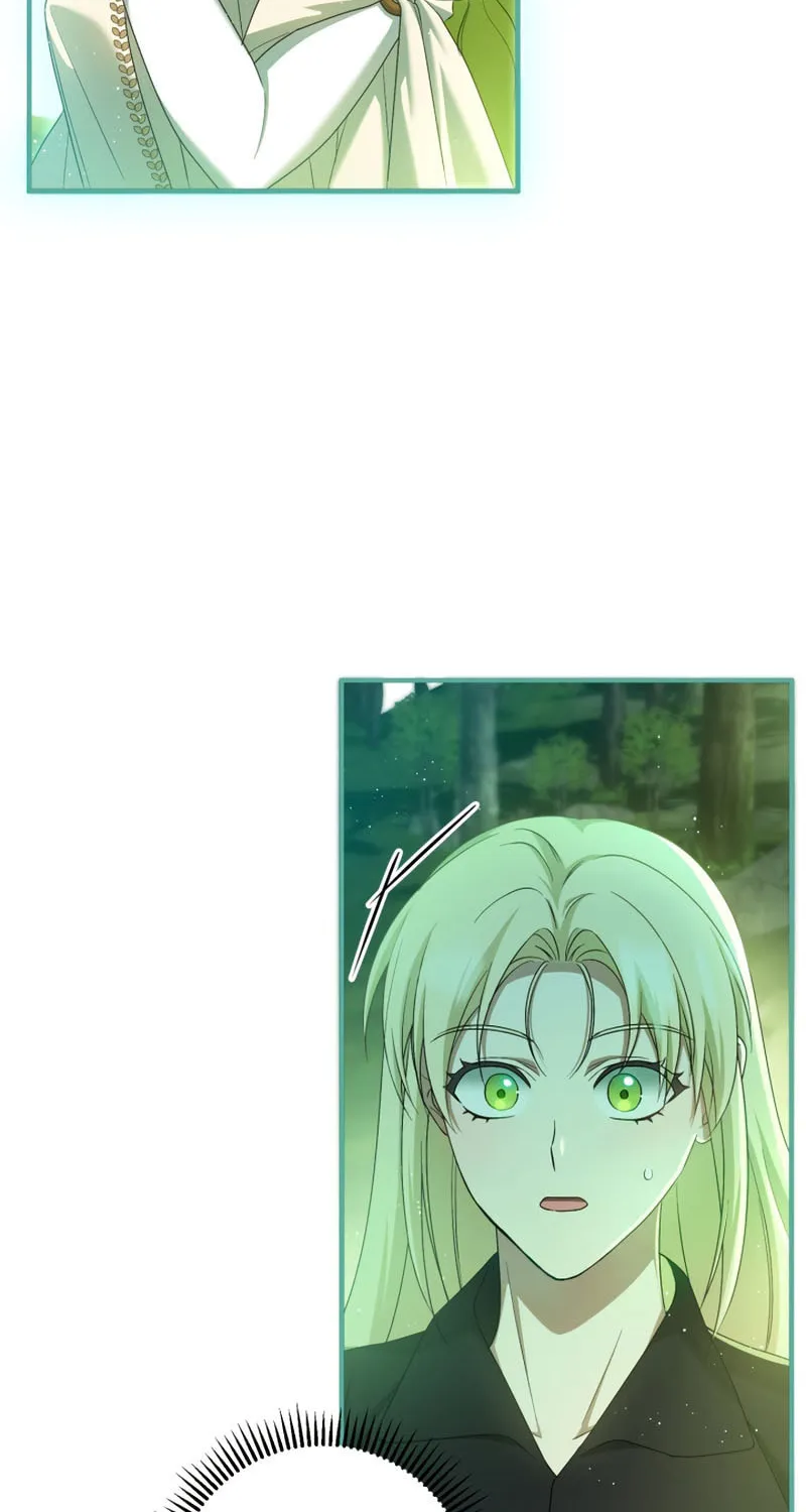 The Extra Guardian Missed the Right Time to Leave Chapter 35 page 79 - 