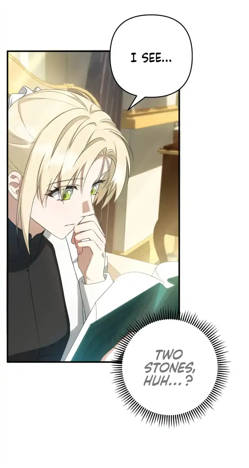 The Extra Guardian Missed the Right Time to Leave Chapter 38 page 17 - 