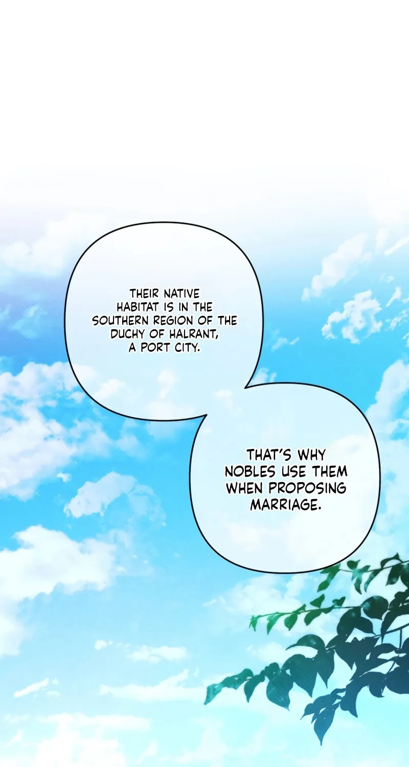 The Extra Guardian Missed the Right Time to Leave Chapter 39 page 37 - 