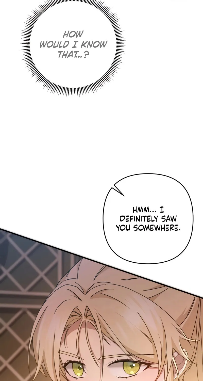 The Extra Guardian Missed the Right Time to Leave Chapter 4 page 72 - 