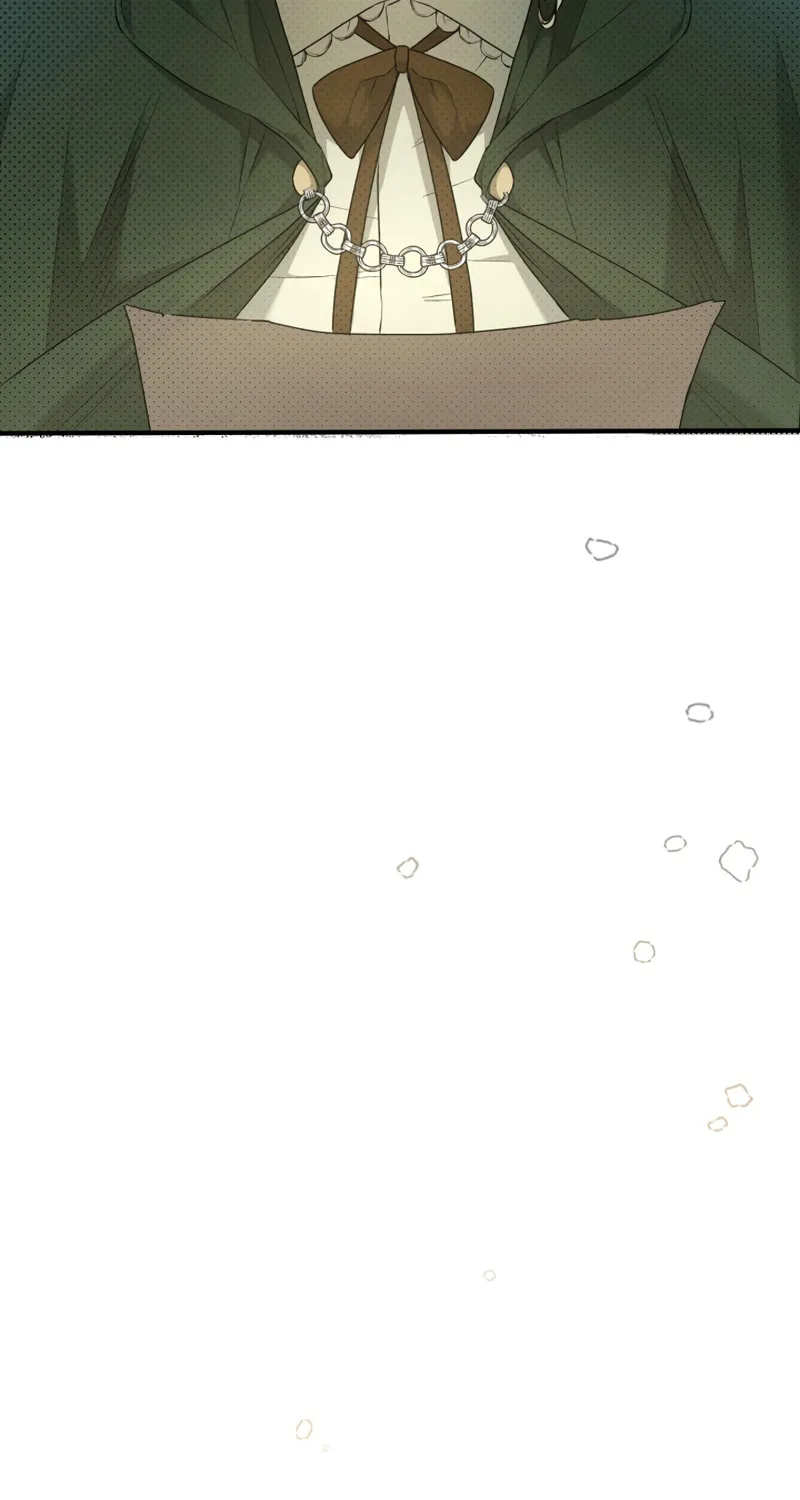 The Extra Guardian Missed the Right Time to Leave Chapter 5 page 51 - 