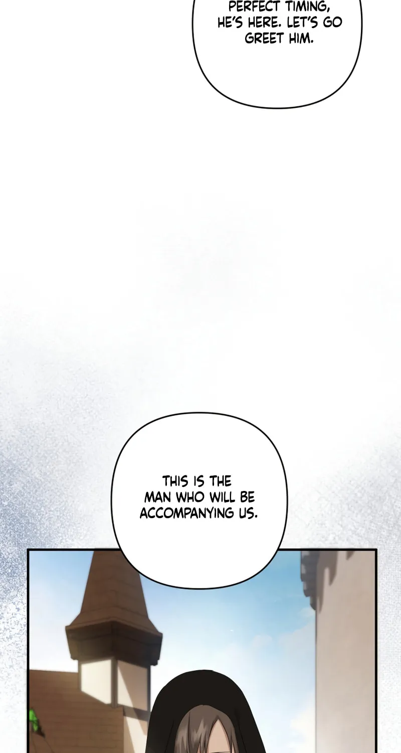 The Extra Guardian Missed the Right Time to Leave Chapter 9 page 95 - 
