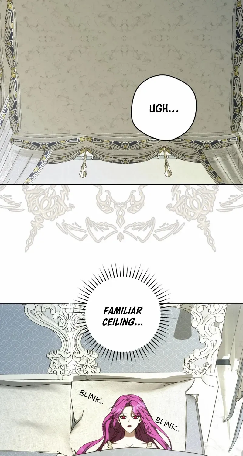 The Extra Wants to Escape From the Obsessive Male Lead Chapter 14 page 29 - 