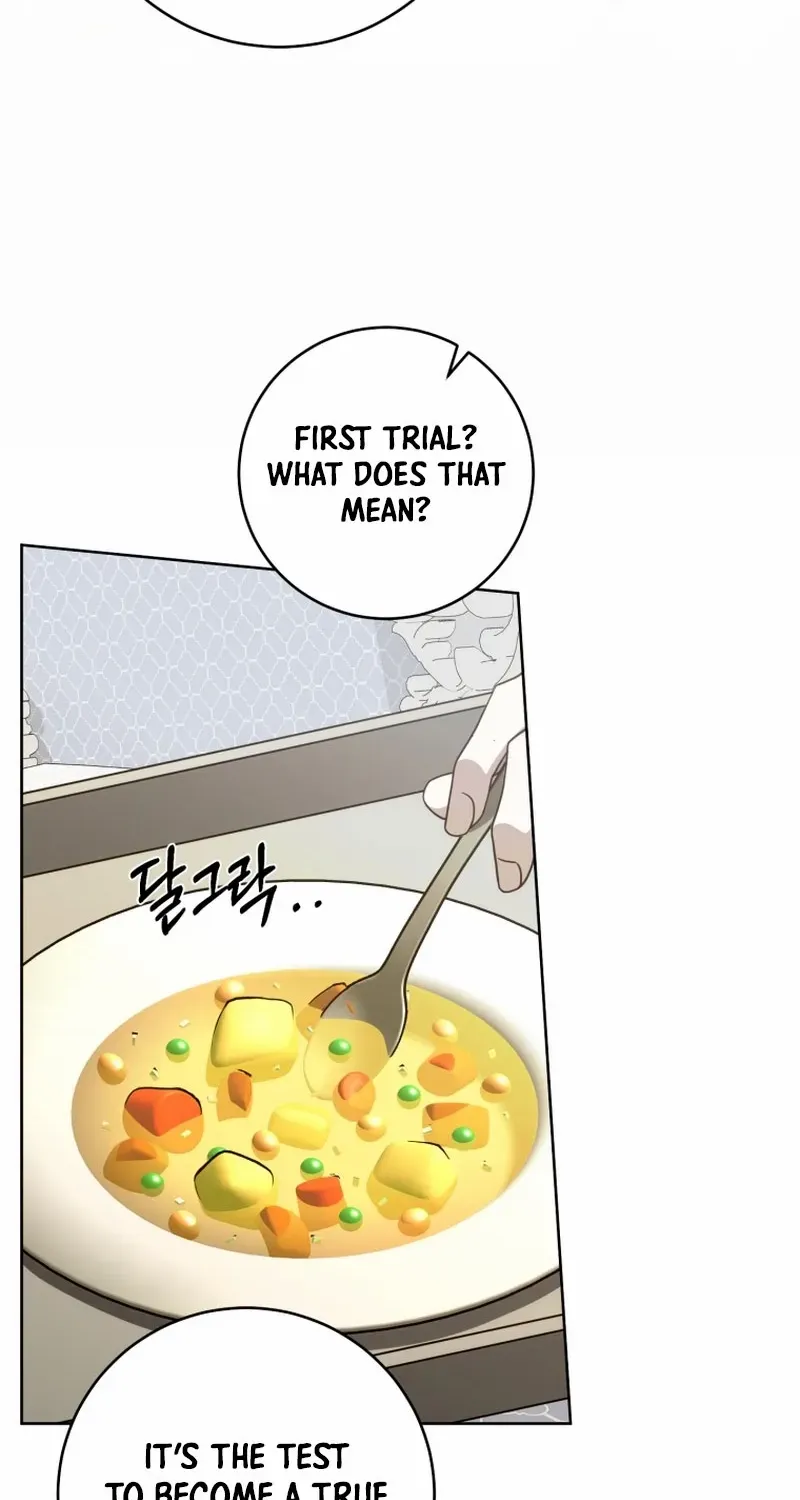 The Extra Wants to Escape From the Obsessive Male Lead Chapter 14 page 66 - 