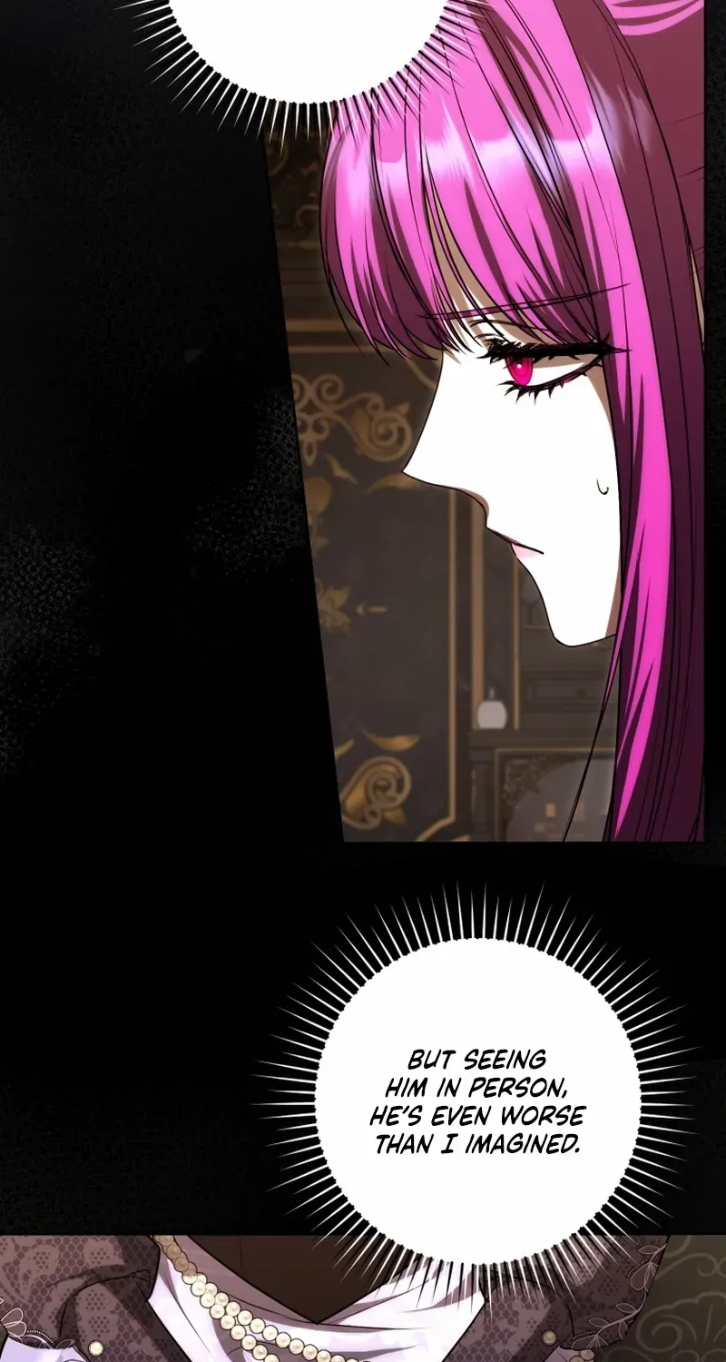 The Extra Wants to Escape From the Obsessive Male Lead Chapter 16 page 29 - 