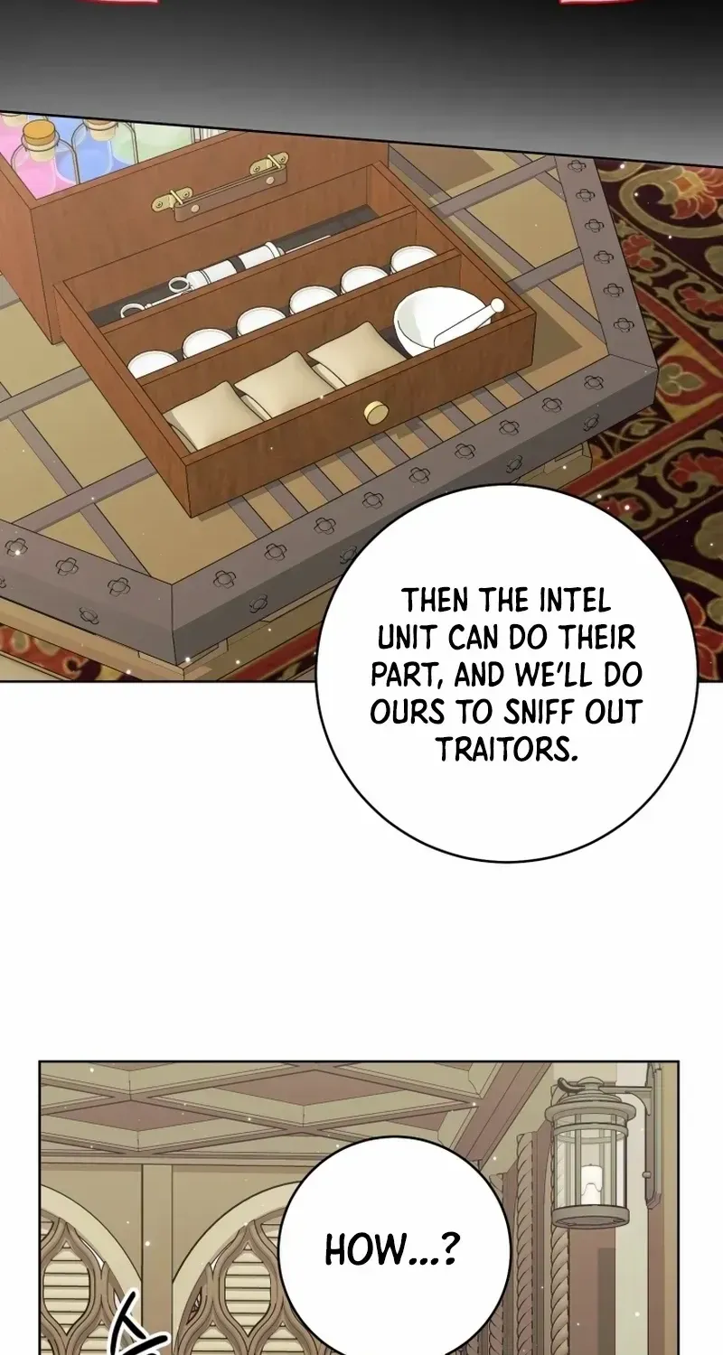 The Extra Wants to Escape From the Obsessive Male Lead Chapter 22 page 61 - 